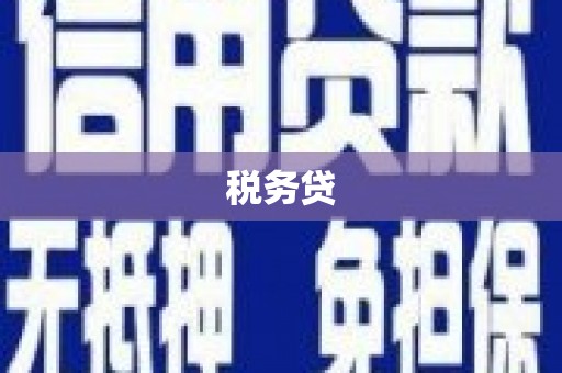 南竿税务贷