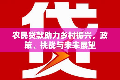 南竿农民贷款助力乡村振兴，政策、挑战与未来展望