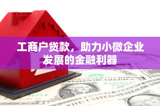 南竿工商户贷款，助力小微企业发展的金融利器