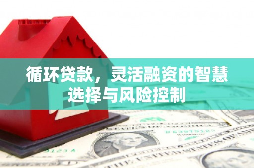 南竿循环贷款，灵活融资的智慧选择与风险控制