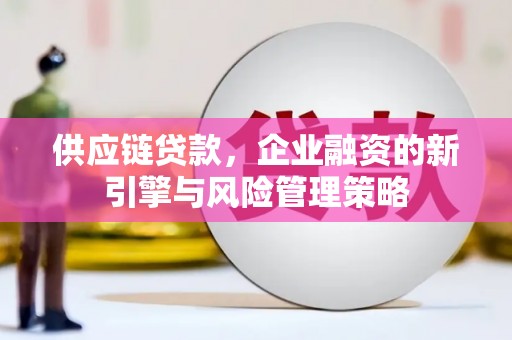 南竿供应链贷款，企业融资的新引擎与风险管理策略
