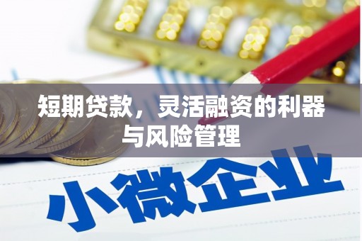 南竿短期贷款，灵活融资的利器与风险管理