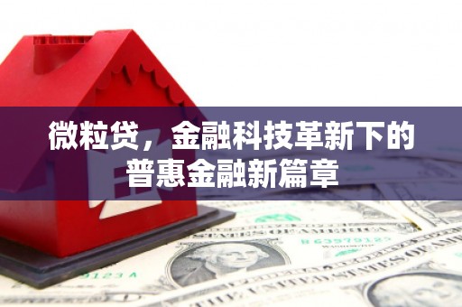 南竿微粒贷，金融科技革新下的普惠金融新篇章
