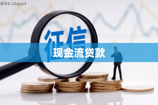 南竿现金流贷款