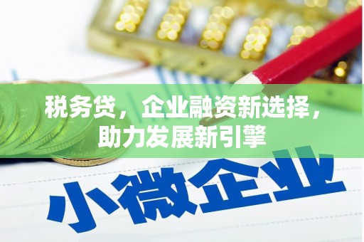 南竿税务贷，企业融资新选择，助力发展新引擎