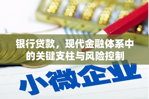 南竿银行贷款，现代金融体系中的关键支柱与风险控制