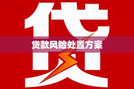 南竿贷款风险处置方案