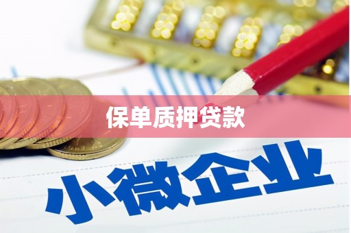 南竿保单质押贷款