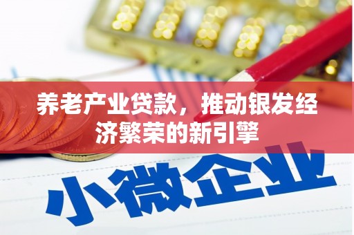 南竿养老产业贷款，推动银发经济繁荣的新引擎