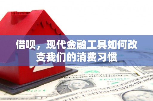 南竿借呗，现代金融工具如何改变我们的消费习惯