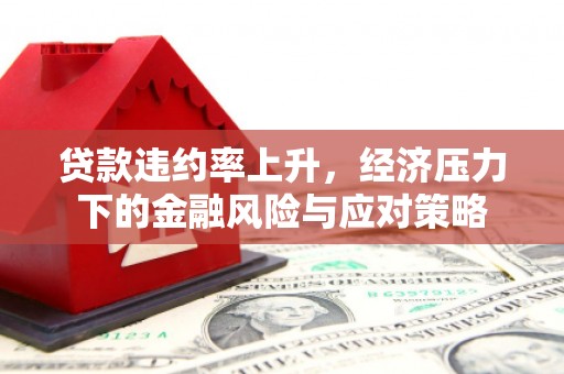 南竿贷款违约率上升，经济压力下的金融风险与应对策略