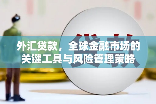 南竿外汇贷款，全球金融市场的关键工具与风险管理策略