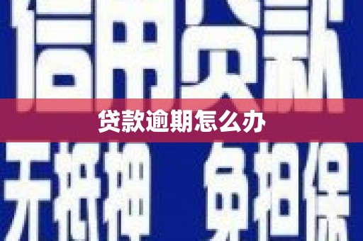 南竿贷款逾期怎么办