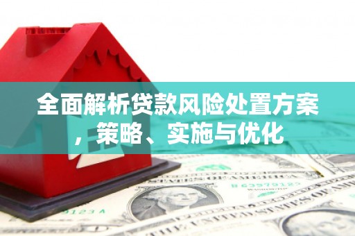 南竿全面解析贷款风险处置方案，策略、实施与优化