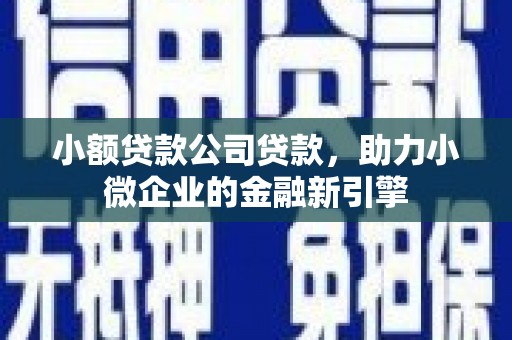 南竿小额贷款公司贷款，助力小微企业的金融新引擎
