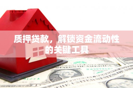 南竿质押贷款，解锁资金流动性的关键工具