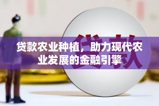 南竿贷款农业种植，助力现代农业发展的金融引擎