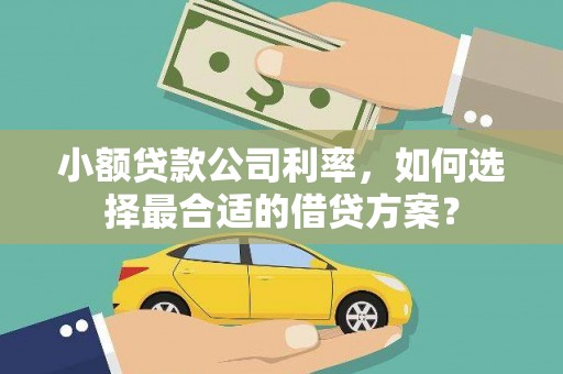 南竿小额贷款公司利率，如何选择最合适的借贷方案？