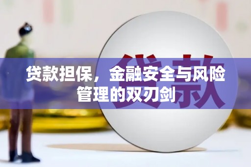 南竿贷款担保，金融安全与风险管理的双刃剑