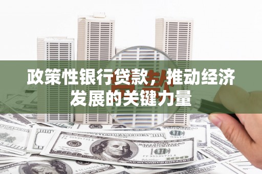 南竿政策性银行贷款，推动经济发展的关键力量