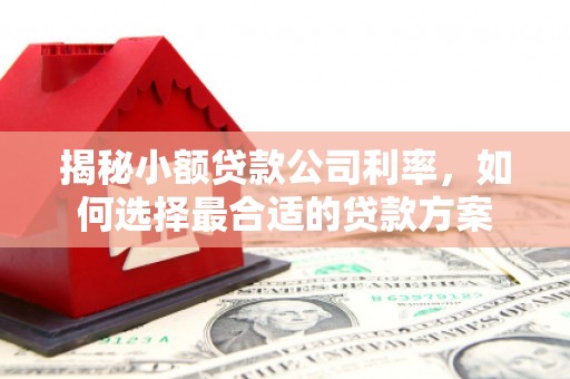 南竿揭秘小额贷款公司利率，如何选择最合适的贷款方案