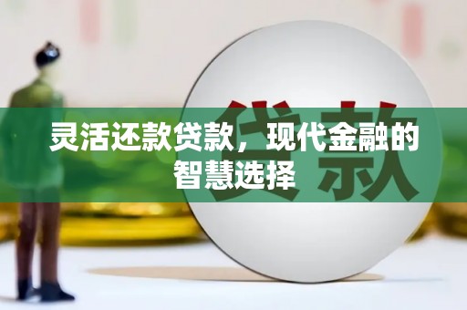 南竿灵活还款贷款，现代金融的智慧选择