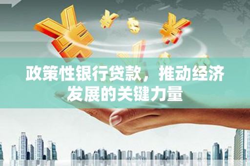 南竿政策性银行贷款，推动经济发展的关键力量