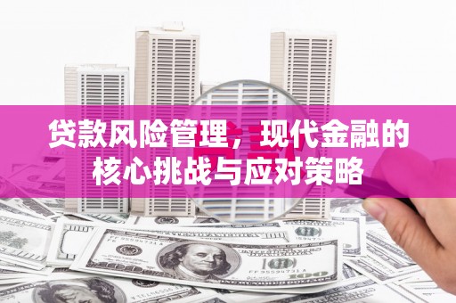 南竿贷款风险管理，现代金融的核心挑战与应对策略