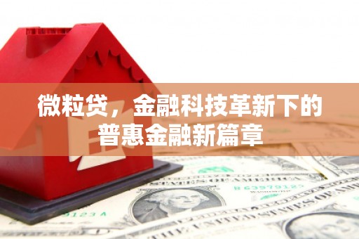 南竿微粒贷，金融科技革新下的普惠金融新篇章