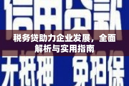 南竿税务贷助力企业发展，全面解析与实用指南