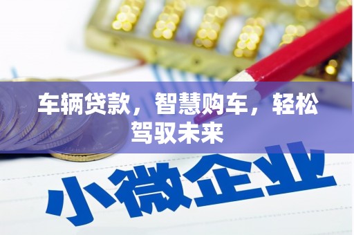 南竿车辆贷款，智慧购车，轻松驾驭未来