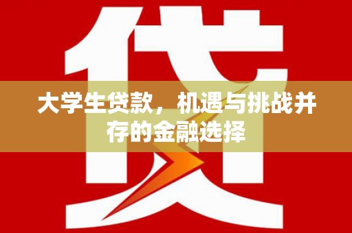 南竿大学生贷款，机遇与挑战并存的金融选择