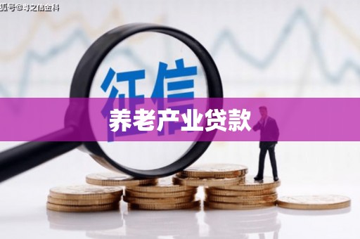 南竿养老产业贷款