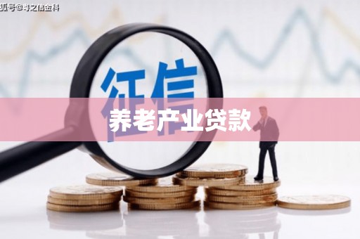 南竿养老产业贷款