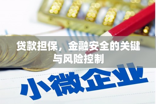 南竿贷款担保，金融安全的关键与风险控制