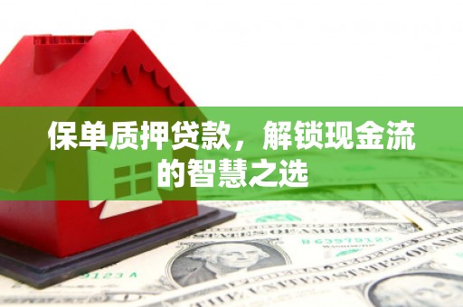 南竿保单质押贷款，解锁现金流的智慧之选
