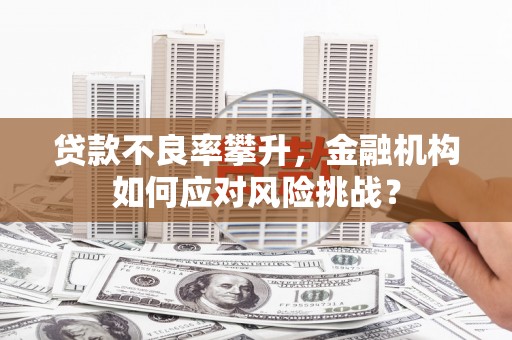 南竿贷款不良率攀升，金融机构如何应对风险挑战？