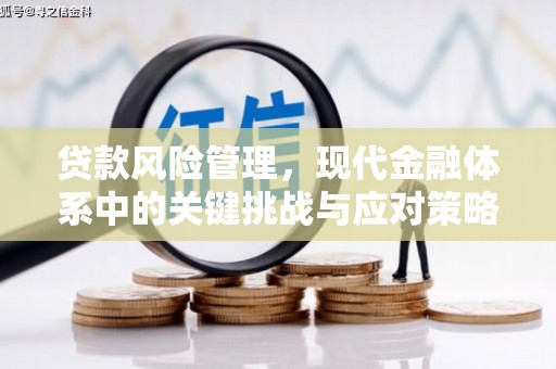 南竿贷款风险管理，现代金融体系中的关键挑战与应对策略