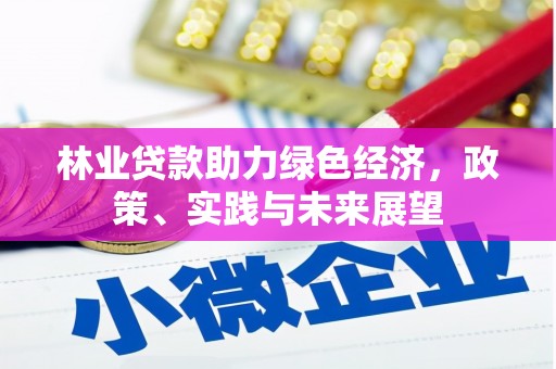 南竿林业贷款助力绿色经济，政策、实践与未来展望