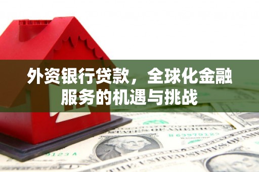南竿外资银行贷款，全球化金融服务的机遇与挑战