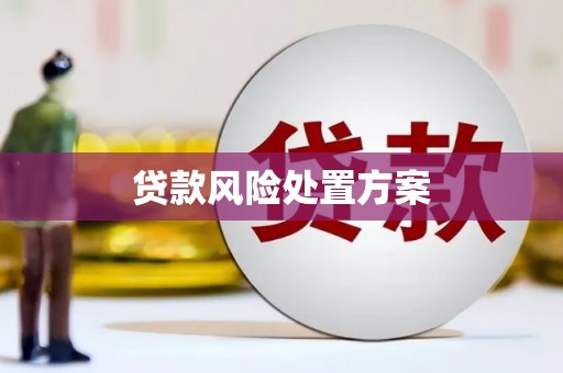 南竿贷款风险处置方案