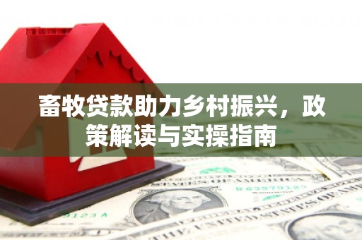 南竿畜牧贷款助力乡村振兴，政策解读与实操指南