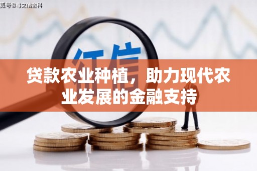 南竿贷款农业种植，助力现代农业发展的金融支持